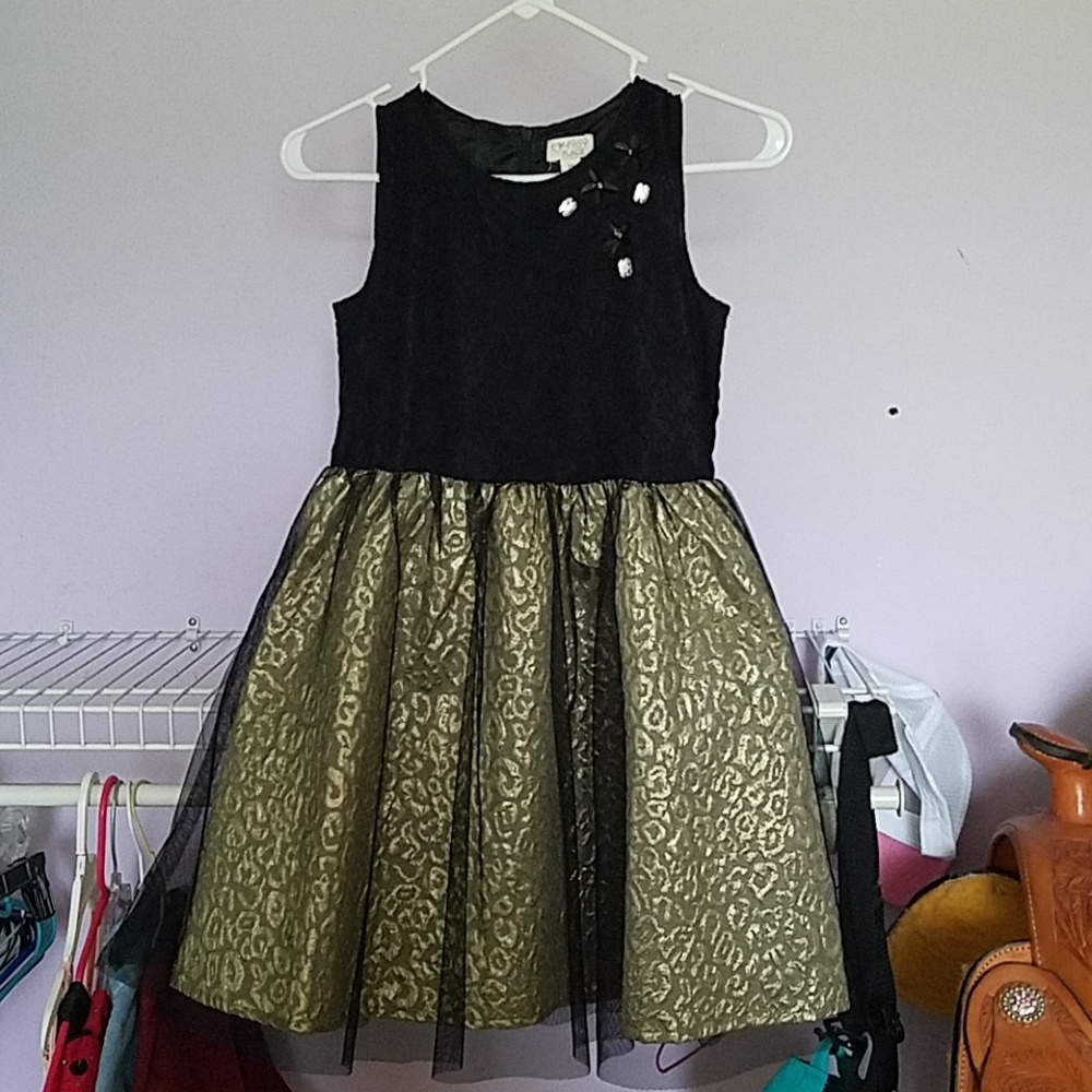 Beautiful Little girls dress size 10